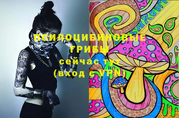 2c-b Белоозёрский