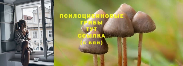 2c-b Белоозёрский