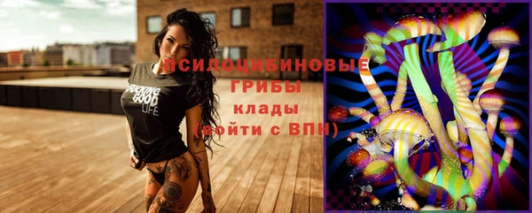 гидропоника Белокуриха