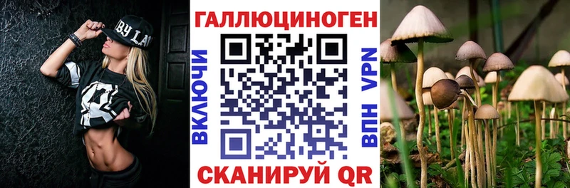 blacksprut сайт  Лабинск  darknet как зайти  Псилоцибиновые грибы Magic Shrooms 